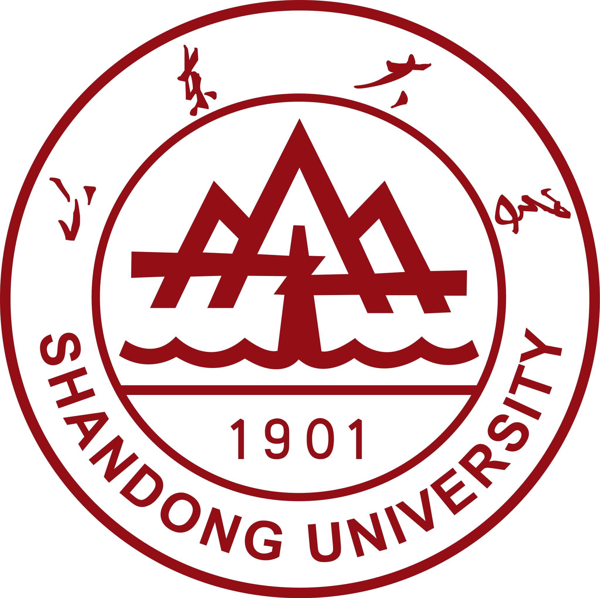 山东大学